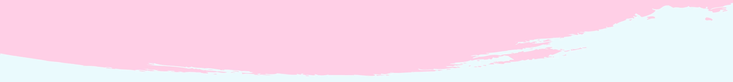 Section